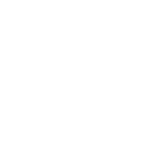 Logo de Alimentos Polar